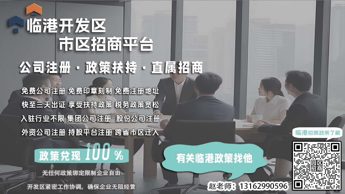 临港园区企业注册资本未足额，税务审计流程是怎样的？